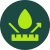 icon-steinimraegnierung